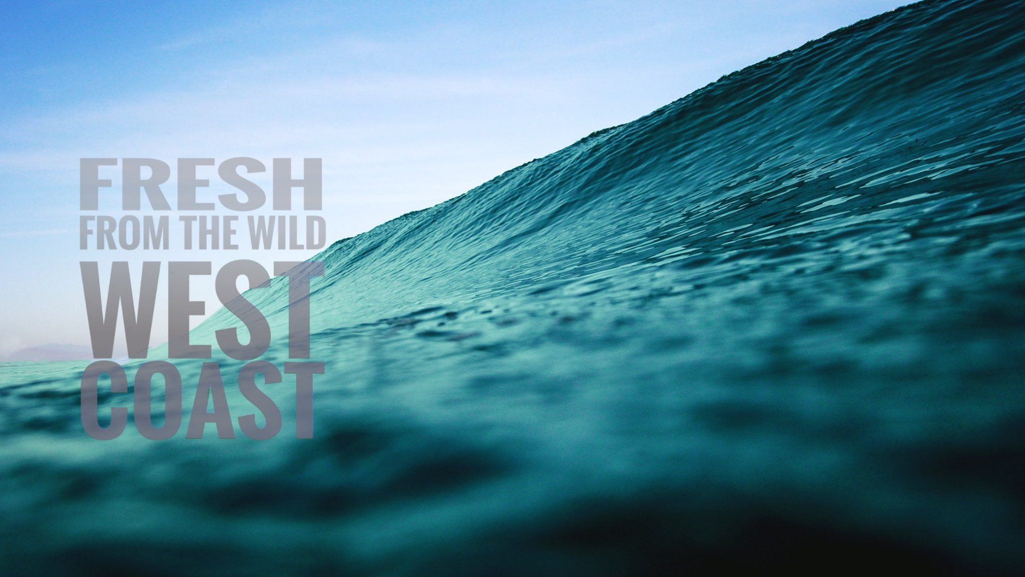 Wild West Coast wave